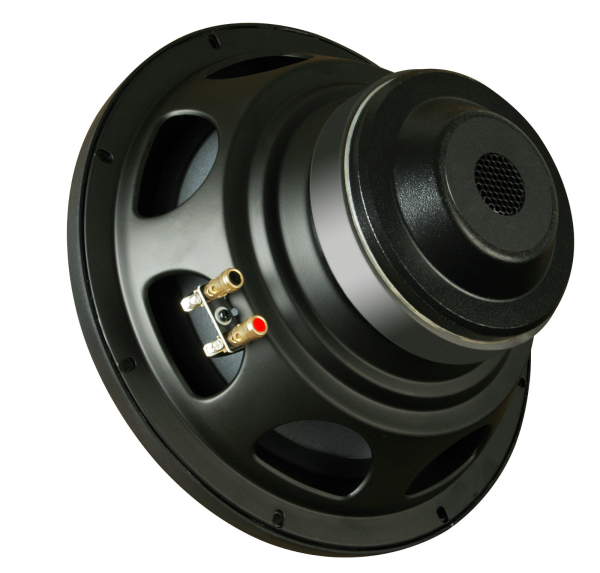 Swans CS 120B – Subwoofer